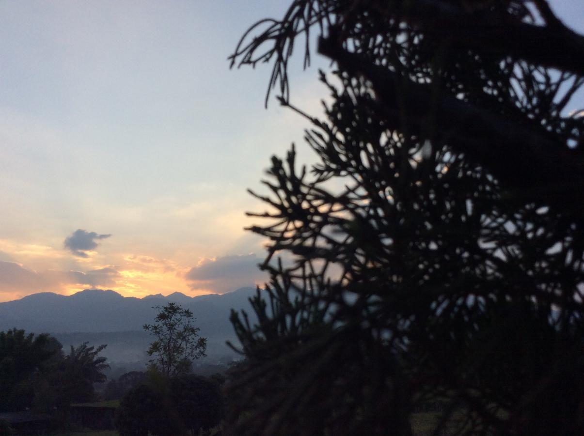 Chilling Hill Guesthouse Pai Bagian luar foto